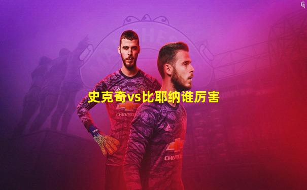 史克奇vs比耶纳谁厉害