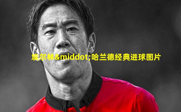 埃尔林·哈兰德经典进球图片