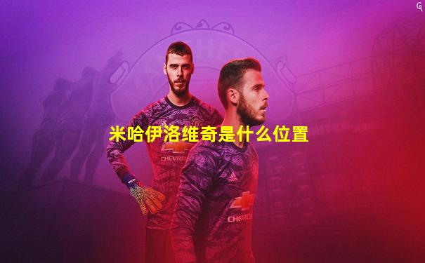 米哈伊洛维奇是什么位置