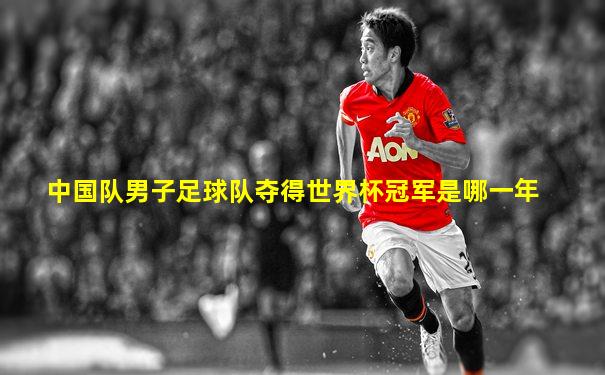 中国队男子足球队夺得世界杯冠军是哪一年