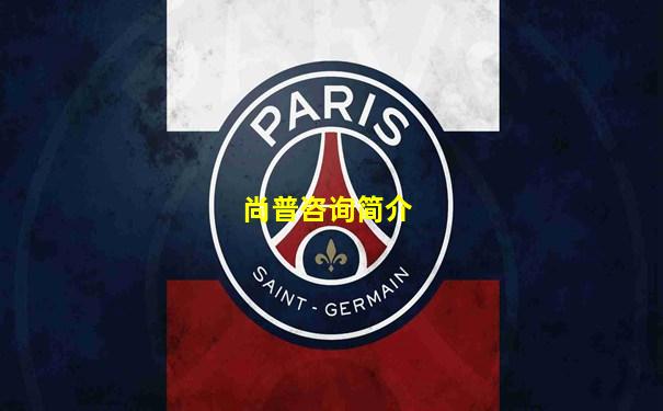 尚普咨询简介