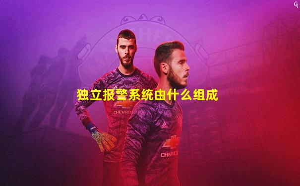 独立报警系统由什么组成