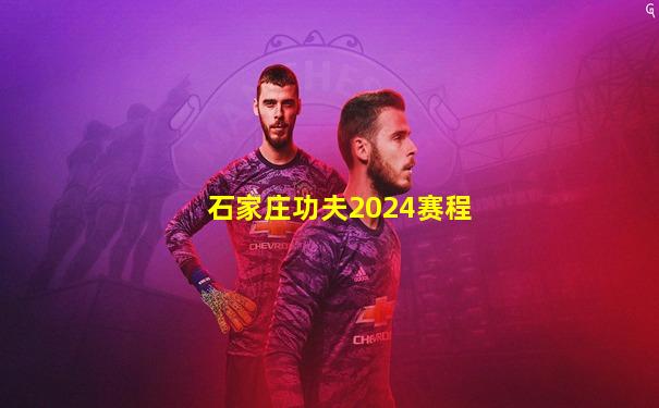石家庄功夫2024赛程
